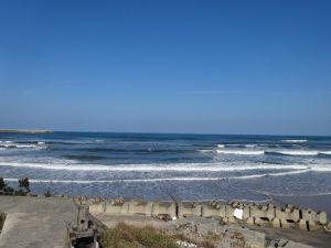 波の上がった船磯