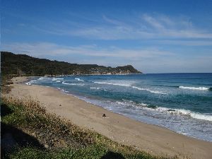 山口県大浜の全景